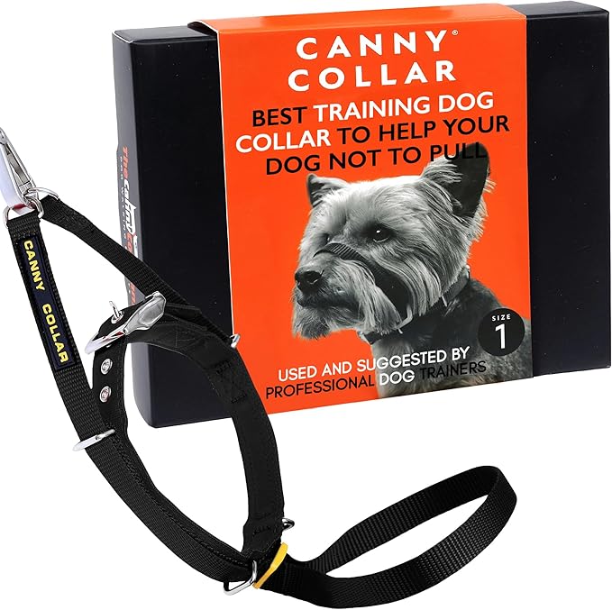 Canny Collar No-Pull Dog Head Collar | Train Your Dog to Stop Pulling & Walk On a Loose Leash | Gentle, Safe, Comfortable Training Aid | Small Dogs | Black, Size 1