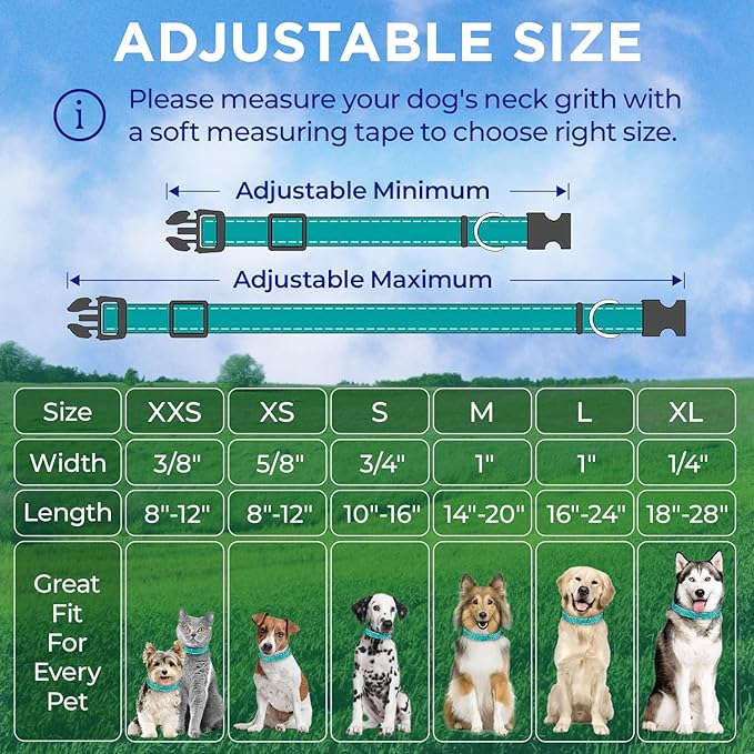 TECEUM Reflective Dog Collar – Teal – XS – Extra Soft Padding – Basic Nylon Pet Collar – Quick Release Buckle – Fits Small, Medium and Large Dogs, Puppies, Cats – ESA & Service Dog Options
