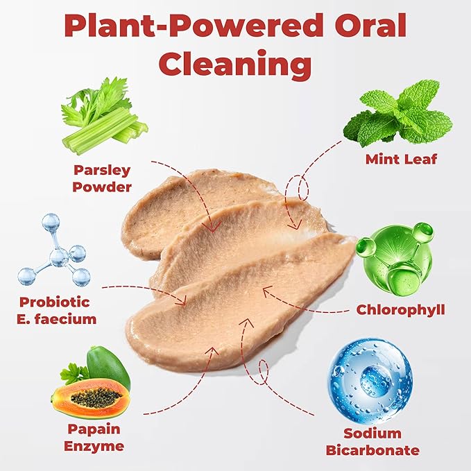 Cat Dental Care & Teeth Cleaning Gel Treat for Cats – Freshen Breath, Help Reduce Plaque Buildup & Support Oral Care with Papain, MCC