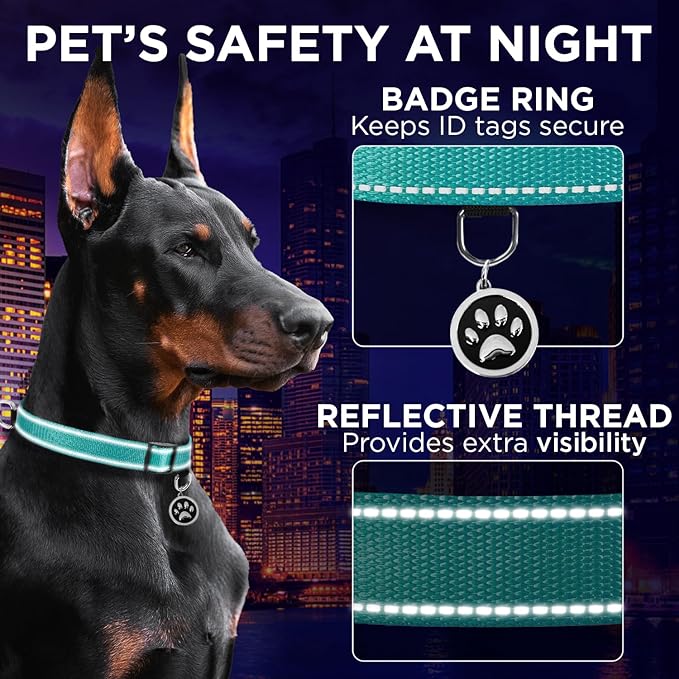 TECEUM Reflective Dog Collar – Teal – XS – Extra Soft Padding – Basic Nylon Pet Collar – Quick Release Buckle – Fits Small, Medium and Large Dogs, Puppies, Cats – ESA & Service Dog Options