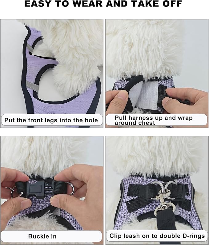 Dog Harness Small Sized and Leash Set, Step in Soft Light Puppy Vest, Breathable Mesh Pet Harness Suitable for Puppies and Kittens. (Light Green, XXS(Chest:10.24-11.81"))