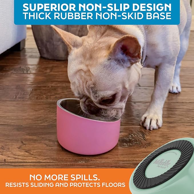 Master Pet Supply Stainless Steel Slanted Dog Cat Food Bowl - 8 oz Heavy Duty - Pistachio, Double Wall Insulated, Non-Slip Elevated Bowl for French Bulldogs Pugs Cats, Anti Rust Dishwasher Safe