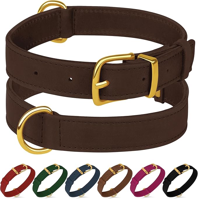 Leather Dog Collar - Heavy Duty Adjustable Soft Padded Pet Collars for Small Medium Large Dogs Breed - Black Green Brown Pink Red Blue (Brown, XL, 19"-24" Neck Fit)