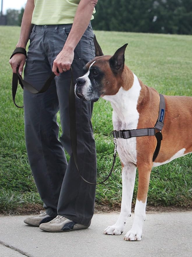PetSafe Deluxe Easy Walk Harness - Trainer-Trusted Dog Chest Harness with Breathable Martingale Loop Design - Helps Stop Pulling with No Choking & Gagging - Small - Steel