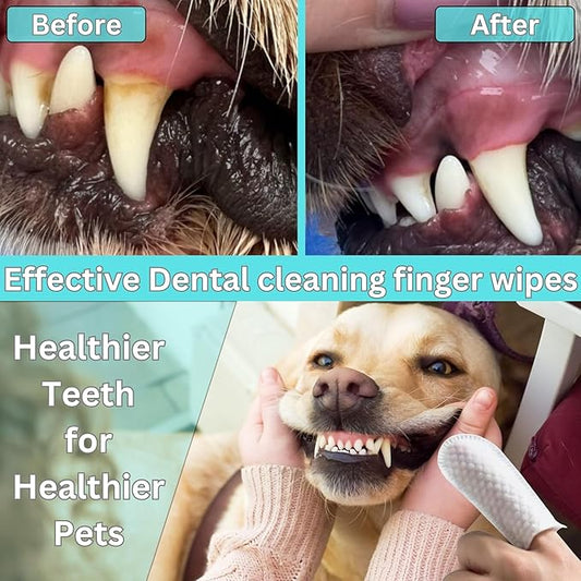 Pet Dental Finger Wipes for Dogs & Cats – Dog Tooth Wipes & Toothbrush Alternative – Easy Teeth Cleaning to Reduce Plaque, Tartar & Bad Breath – Vet-Approved Cat & Dog Oral Care (50 Count)