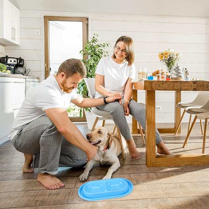 2 Pieces Cat Dog Food Bowl, 25 oz Plastic Double Pet Food Water Bowls Feeding Bowl Tray Cat No Spill for Dogs Pets Outdoor, Pink and Light Blue