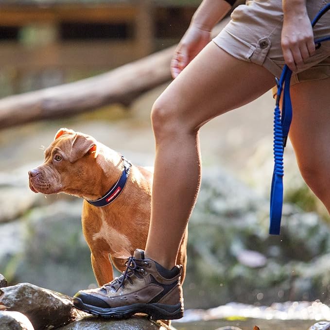 EzyDog Zero Shock Dog Leash - Shock Absorbing Bungee Leash for Dogs That Pull or Excite - Dual Handle and Reflective for Large, Medium, or Small Dogs (25-inch, Black)