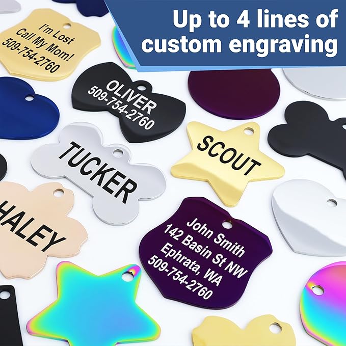 GoTags Stainless Steel Pet ID Tags, Personalized Dog Tags and Cat Tags, up to 8 Lines of Custom Text, Engraved on Both Sides, in Bone, Round, Heart, Bowtie and More (Round, Regular (Pack of 1))