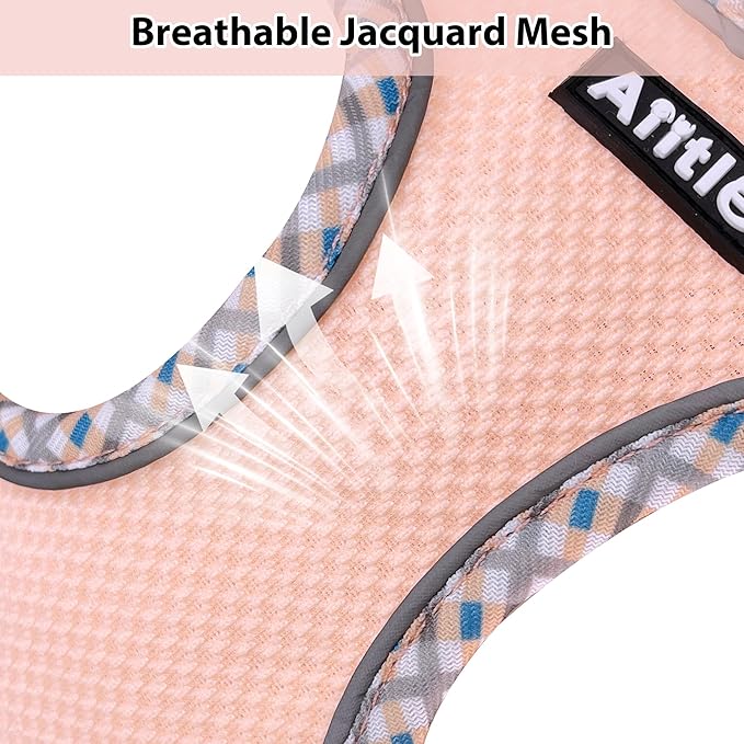 AIITLE Tiny Dog Harness - Lightweight Mesh Step-in Vest for Puppy, Reflective & Escape-Proof Design with High-Stick Magic Tape - Outdoor Use for Chihuahua, Maltese, Shih Tzu(Turquoise-Pink, XXXS)