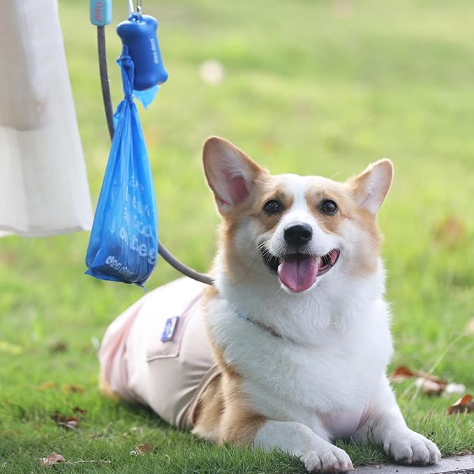 Dog Poop Bags with Handles 9 Rolls 108 Counts Big Sizes Leak Proof and Extra Thick Waste Bags Refill Rolls for Walking Small Medium Large Dogs Cats Litter With Holder Iris Scented