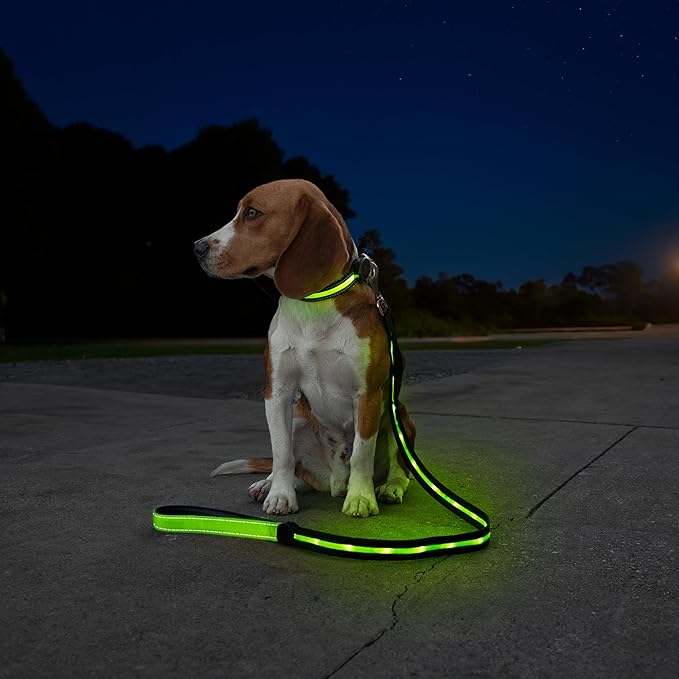 Sherry Kline LED Light-Up Pet Collar - USB Rechargeable - Flashing Glow in The Dark Size Small, Color: Green