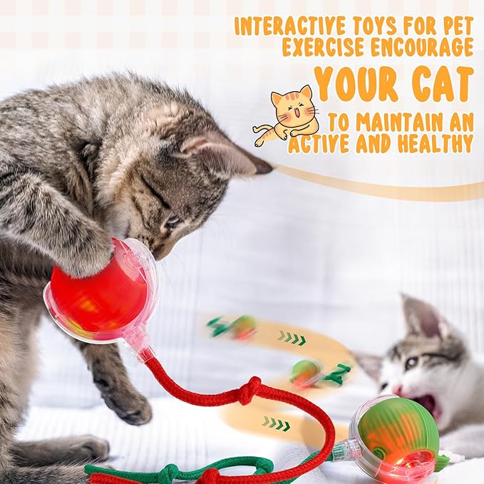 WinnerWhy 6 Pack Interactive Cat Ball Toy 360° Automatic New Interactive Rolling Ball Rechargeable for Christmas Indoor Cat Dog Gifts Exercise Electric Self Rolling Toy Large and Small Puppy Kitten