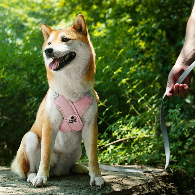 Patas Lague Dog Harness with Leash Set Adjustable Soft Padded Step-in Dog Vest No Choke No Pull Reflective for Small Medium Pets with Poop Bags and Dispenser, Solid and No-chew, Pink S