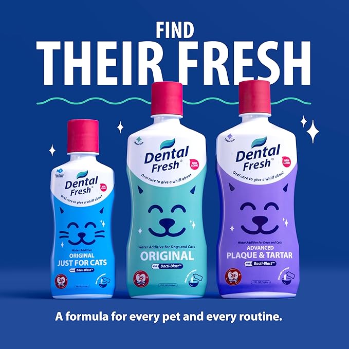 Dental Fresh Original Water Additive for Dogs & Cats, 17 Fl Oz, Daily Teeth & Breath Care