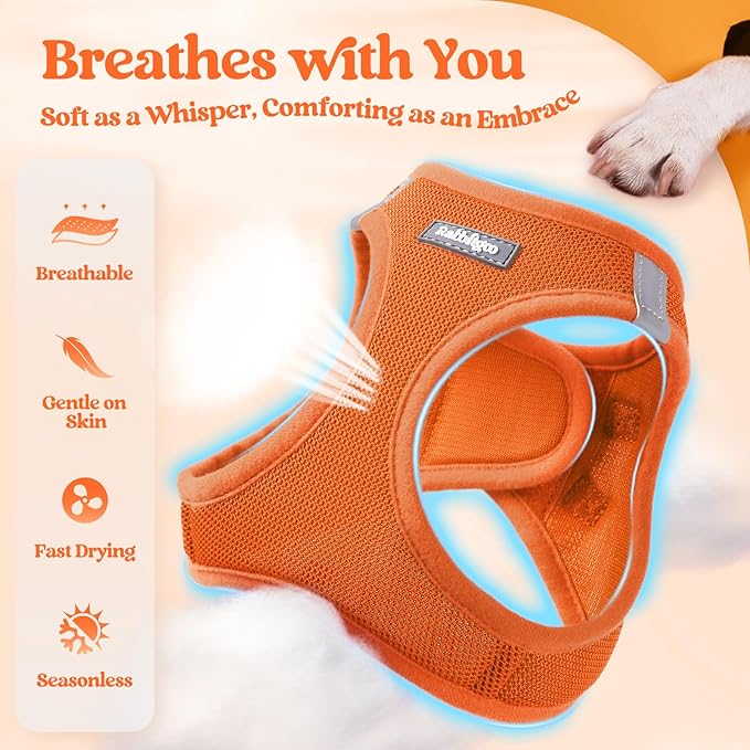 rabbitgoo Dog Harness Small Sized and Leash Set, Step in Soft Light Puppy Vest, Breathable Mesh Pet Harness, Reflective for Safe Easy Walking, Orange S