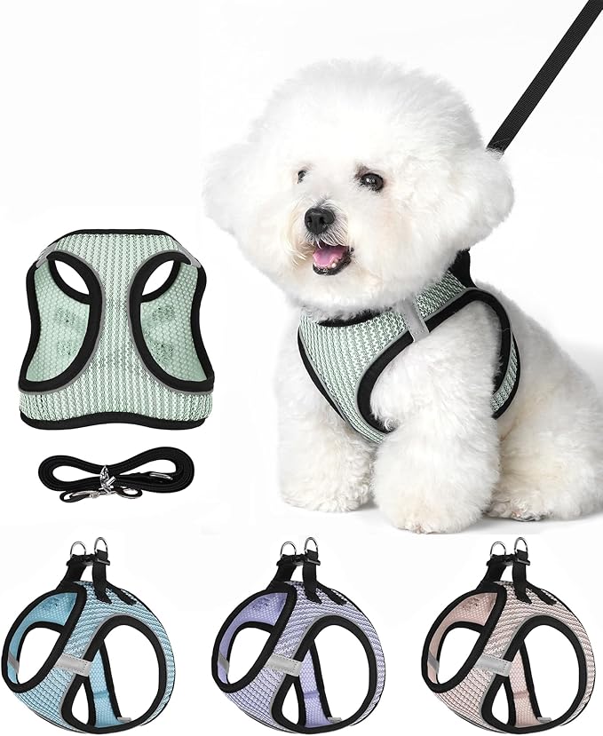 Dog Harness Small Sized and Leash Set, Step in Soft Light Puppy Vest, Breathable Mesh Pet Harness Suitable for Puppies and Kittens. (Light Green, XXS(Chest:10.24-11.81"))