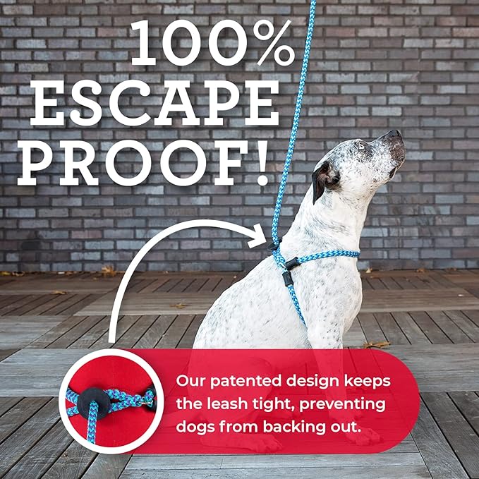 Harness Lead No Pull Dog Harness and Leash Set, Anti Pull Dog Harness for All Breeds and Sizes, One-Piece Cushioned Rope Design Safely Prevents Escaping and Pulling (Medium/Large, Blue/Multi)