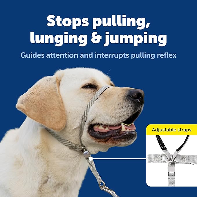 PetSafe Gentle Leader No-Pull Headcollar - Breathable Lightweight Walking Halter - Minimal Strap Design & Padded Nose Loop - Snout-Specific Fit - Helps Gain Easy Control