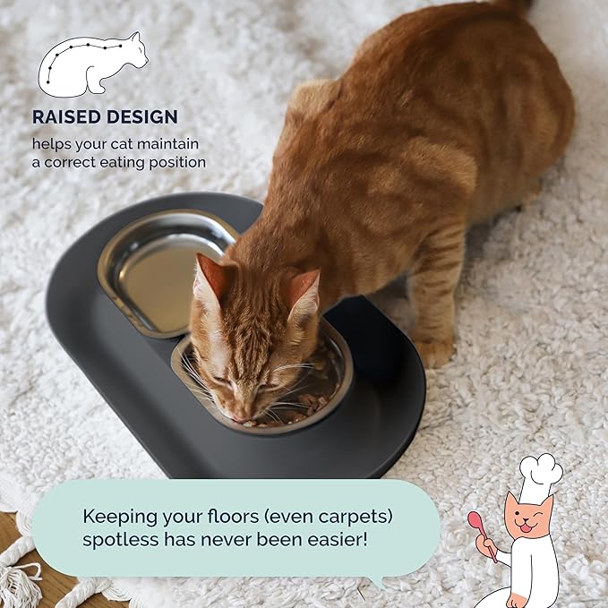 Hepper NomNom - Spill Proof Elevated Cat Bowls for Food and Water - Whisker Relief Bowl + Raised Cat Food Bowls: a Safe Dish for Messy Cats - Stainless Steel Cat Bowl Station