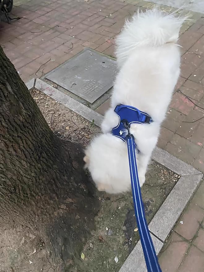 TRUE LOVE Reflective Dog Leash Puppy Walking Lead, Padded Pet Chain Rope，Length 200cm Truelove TLL2111(Royal Blue,L)