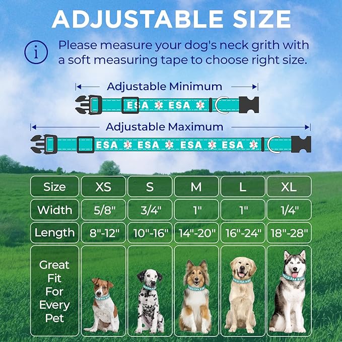 TECEUM Reflective Pet Collar – Teal - ESA – XS – Extra Soft Padding – Basic Nylon Dog Collar – Quick Release Buckle – Fits Small, Medium and Large Dogs, Puppies, Cats – ESA & Service Dog Options