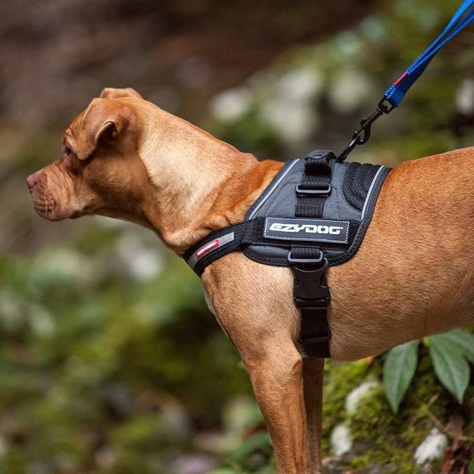 EzyDog Convert Dog Harness – Trail-Ready Rugged Harness for Walking, Hiking & Outdoors with Reflective Piping, Badge Attachment Points, Traffic Handle, & Comfort Lining (XX-Large, Corduroy)
