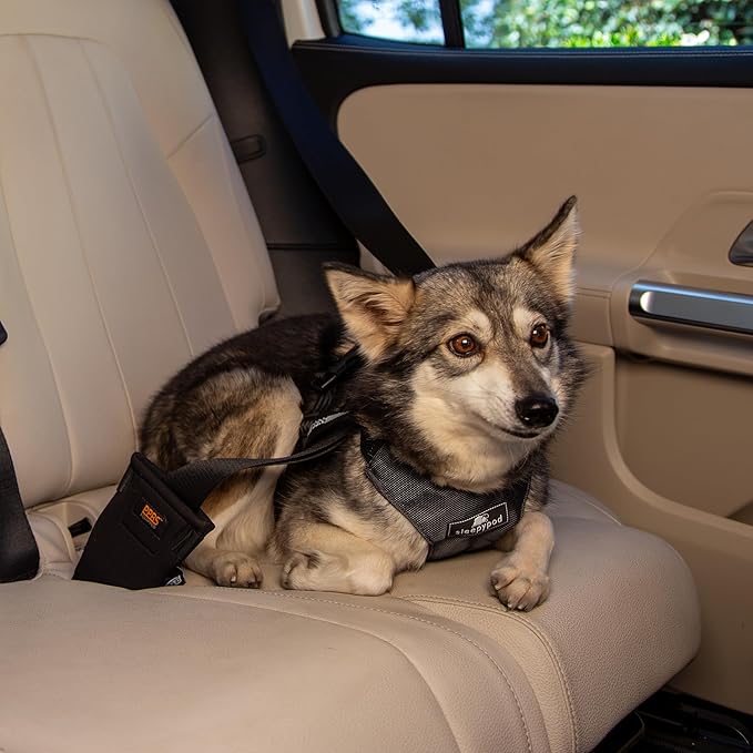 Clickit Sport Plus - Crash-Tested and Safety Certified Car Seat Belt Harness for Dogs (Extra Large, Charcoal Grey)