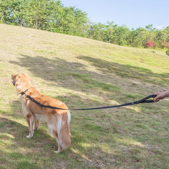 Hyhug Nylon Adjustable 4-6ft Dog Leash with Soft Neoprene Padded Handle, Durable Heavy Duty Leash with Easy-to-Use Bolt Snap, Ideal for Jogging Outdoor