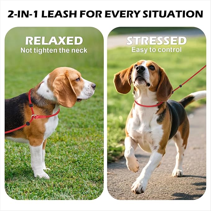 6FT Slip Lead Dog Leash with Double Padded Handle, Anti-Tangle Slip Leads for Dogs, Reflective Nylon No-Pull Training Leash for Small Medium Dogs, Red