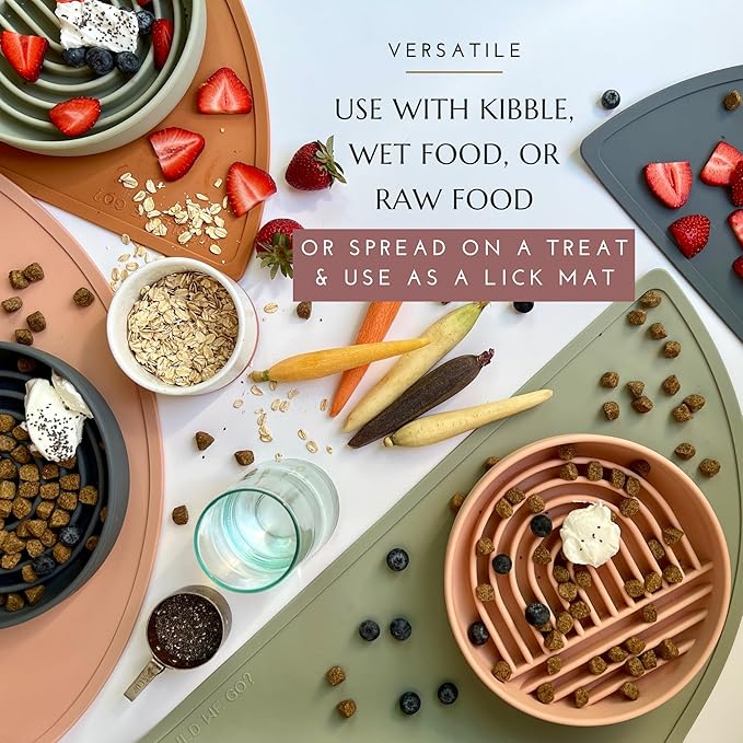Should We Go? Slow Feeder for Dogs, The Slowdown Bowl Silicone Slow Eating Mealtime Solution with Modern Lick Mat Design, Reduces Gulping, Fits 1 Cup, 6” Across x 1.25” Tall, Small-Tan