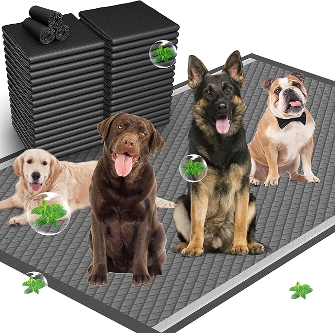 31"x47" Activated Charcoal Dog Pee Pads - 100 Count,Extra Large,Super Absorbent, Leakproof, Long-Lasting Odor Control, Ideal for Large Dogs and Potty Training Puppies
