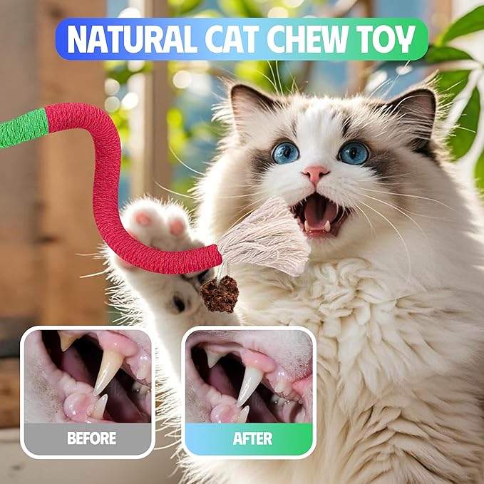GBSYU Cat Toys Chew Rope & Silvervine Sticks for Bored Indoor Adult Cats, 4Pcs Interactive Catnip Toys for Cats with Refillable Natural Catnip Bag for Teeth Cleaning