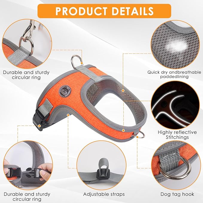 Dog Harness and Leash Set, No Pull Saddle Style Pet Harness, Breathable Mesh Adjustable Reflective Dog Vest for Dogs and Cat Medium Small Harness 2 D-Rings, Orange, L