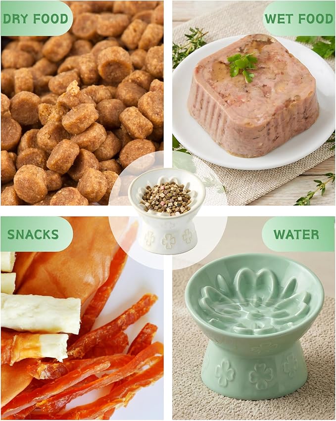 TRUVIC Ceramic Slow Feeder Cat Bowl, Elevated Cat Wet Food Bowl Tilted Design, Raised Slow Feeder Dog Bowl no Black Chin, Four-Leaf Clover Shape for Dry and Wet Food, Jun Blanc