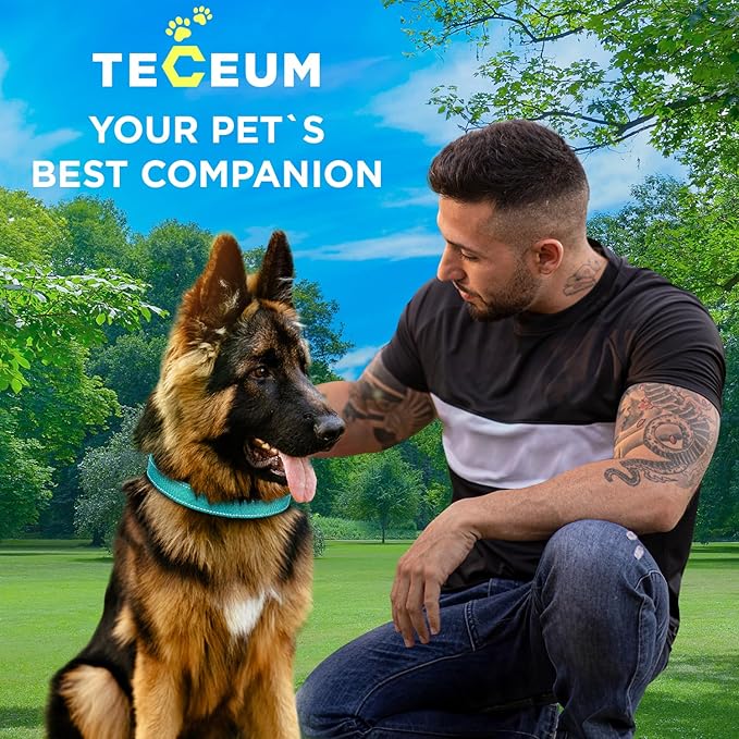 TECEUM Reflective Dog Collar – Teal – XS – Extra Soft Padding – Basic Nylon Pet Collar – Quick Release Buckle – Fits Small, Medium and Large Dogs, Puppies, Cats – ESA & Service Dog Options