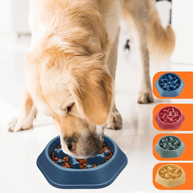 Slow Feeder Dog Food Bowl – Interactive Dog Food Dish for Breeds, Bowl Designed to Slow Eating, Promotes Healthy Digestion and Prevents Bloat, Ideal for Cats and Dogs