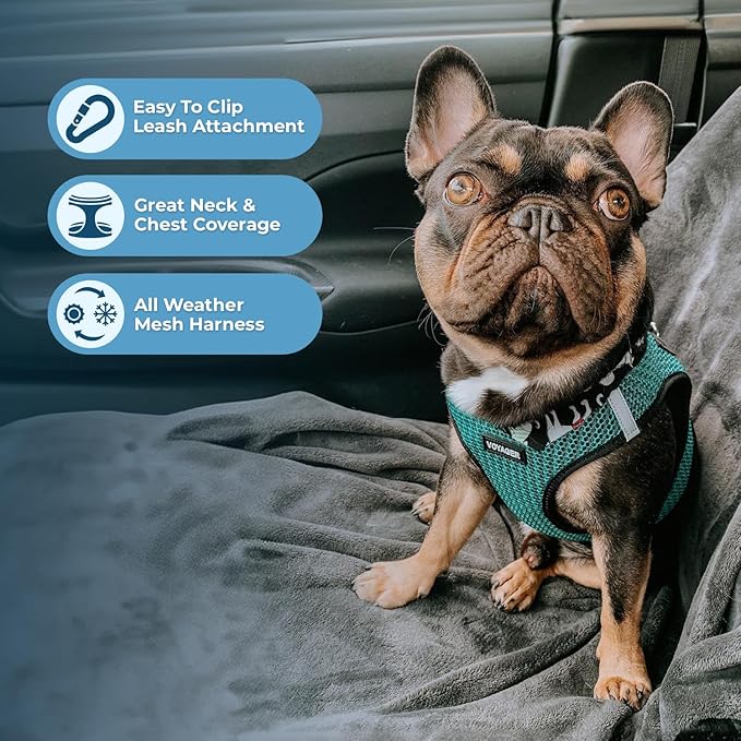 Best Pet Supplies Voyager Step-in Air Harness - All Weather Mesh, Reflective, No Pull Harness for Dogs, Cats - Secure with Hook & Loop Fastener, Buckle, Double D-Rings - Turqupise 2-Tone, L