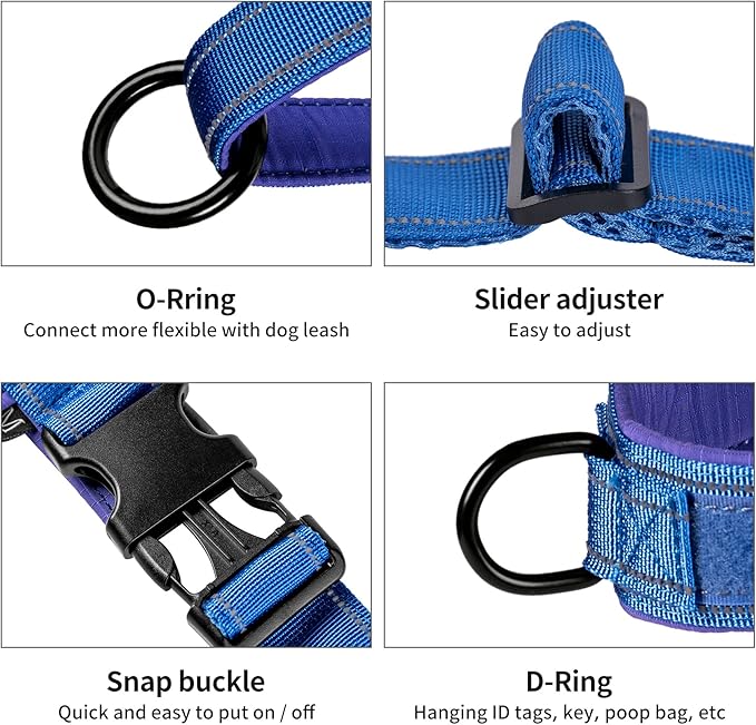 Annchwool No Pull Dog Harness with Padded Handle+5 Ft Leash,Reflective Strip Escape Proof and Quick Fit to Adjust Dog Harness,Easy for Training Walking for Small & Medium and Large Dogs(Blue-Set,M)