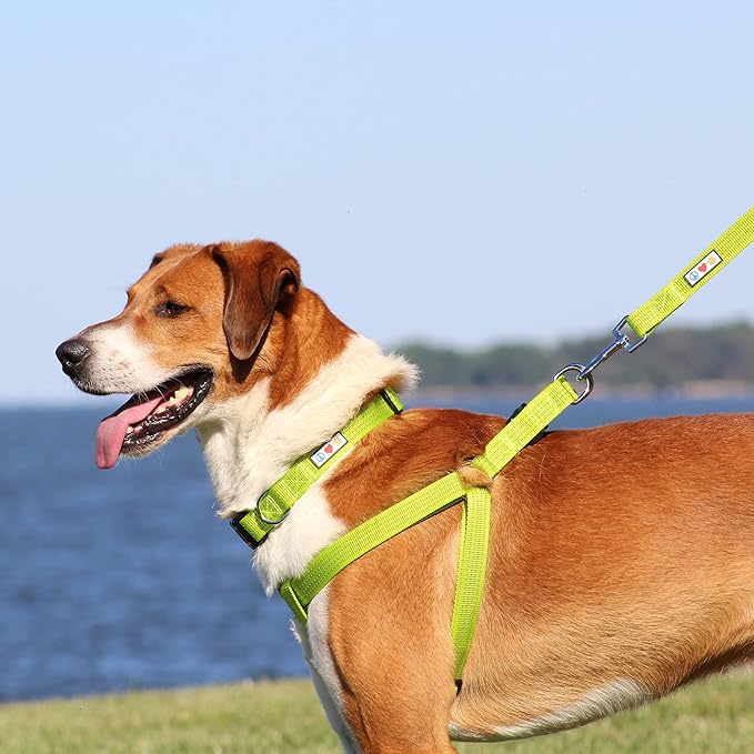 Pawtitas Reflective Step-in Dog Harness – Adjustable No-Pull Vest for Puppies to Seniors, Safe & Comfortable, L Red