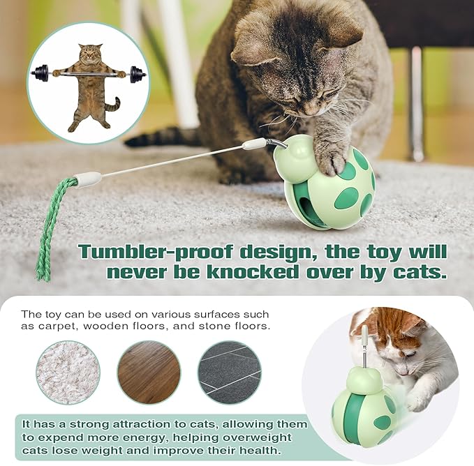 Interactive Cat Treat Toys,Rolling Ball Shape with Teaser Wand on Top,Treat Dispense for Slow Feed and Healthy Diet,Funny Exercise,Safe Play Pet Toy Indoor for Bored Kittens&Adults Cats