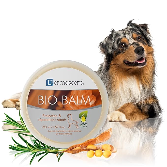 Dermoscent | Bio Balm | Natural, Organic, Healing Dog Paw Balm | Skin & Paw Soother For Dogs With Dry, Cracked, & Rough Paws | Veterinarian-Approved Paw Pad Moisturizer & Protector