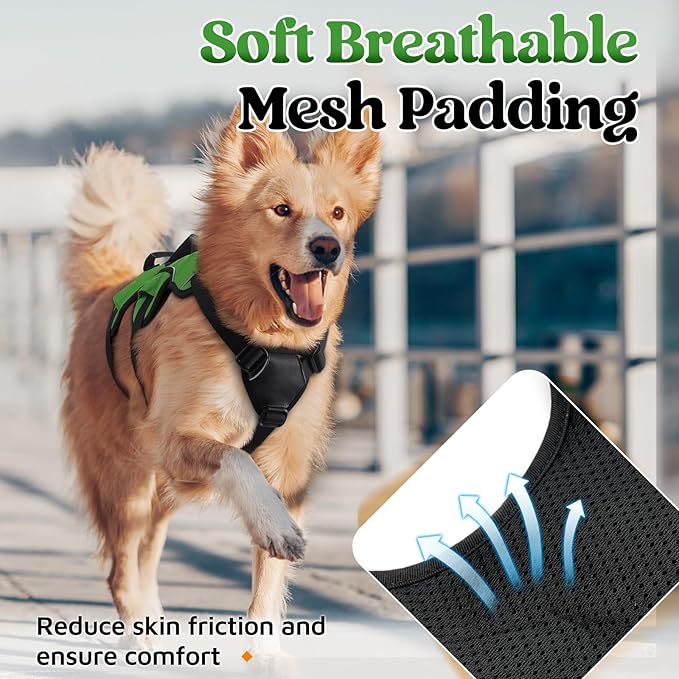 rabbitgoo Escape Proof Dog Harness, Soft Padded Full Body Pet Harness, Reflective Adjustable No Pull Vest with Lift Handle and Lesh Clip for Large Dogs Walking Hiking Training, M, Green