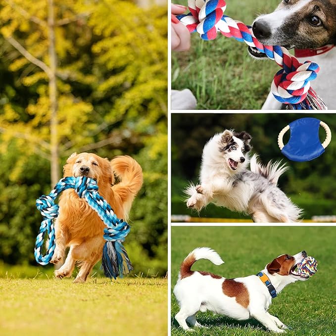TUAHOO 6 Pack Dog Rope Toys for Small Medium Large Breed, Tough Chew Rope Tug Toy for Dogs, Flying Disc Fetch Toy Dog Rope Ball, Interactive Toy for Boredom, Puppy Teeth Cleaning