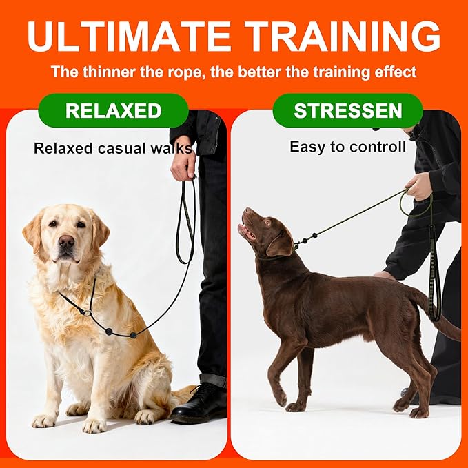 BeauGo|Slip Leads for Dogs|Dog Training Leash|2-In-1Training Lead & Collar,Thin Rope specifically Designed for Dog Training and NGKC Competition,Sturdy and Durable,Suitable for All Dogs,Dog leash6FT