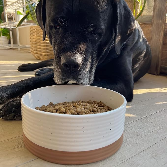 Mora Ceramic Pet Bowl Size Large - Food/Water Dish for Big Dogs, Cats, Great Dane, Mastiff, ect. 50oz or 8 Cups - Basic Bowls for Your Large Dog or Cat, Mix and Match for a Set - Vanilla White