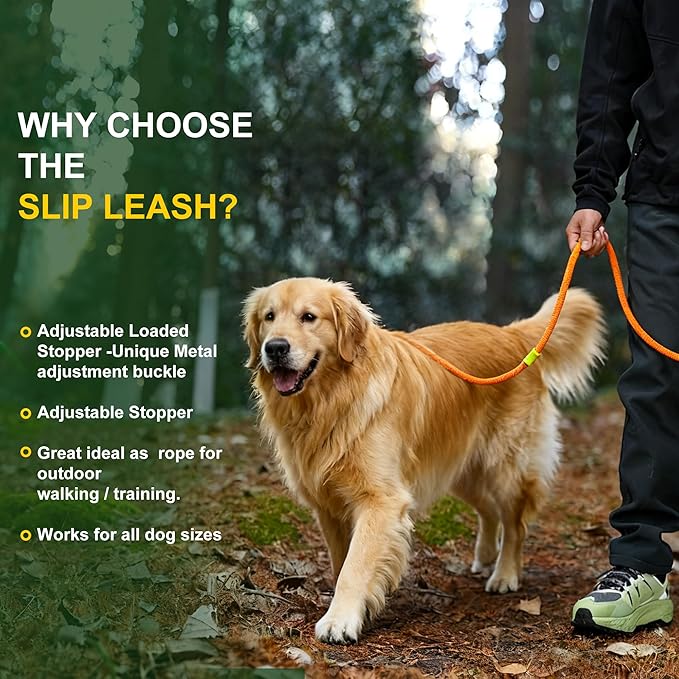 BeauGo|Slip Leads for Dogs|Slip Lead Dog Leash|Dog Training Leash,2-in-1 Dog Training Lead & Collar,No Pull Training Lead,Comfortable Strong Rope Slip Lead for Small Dogs and Puppies.Slip Leash6FT