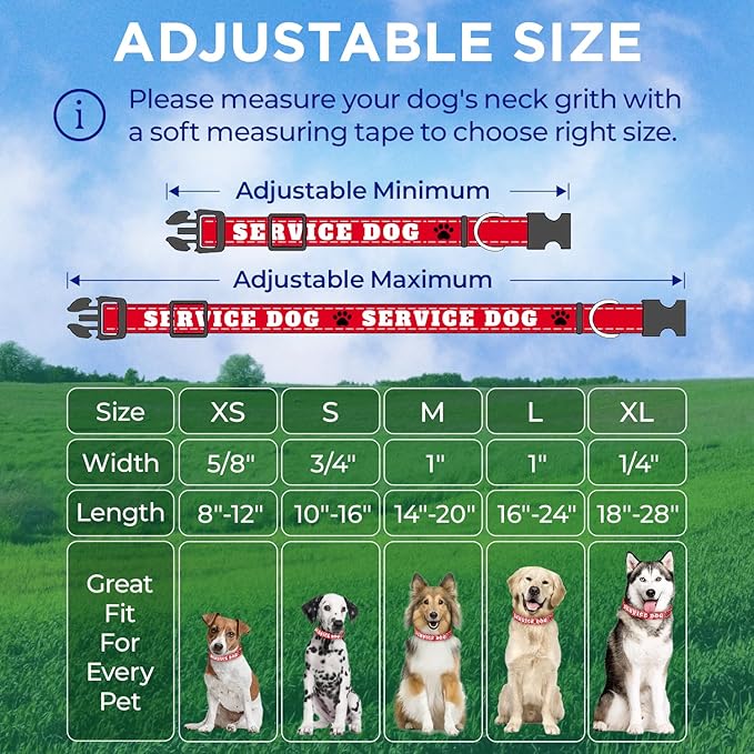 TECEUM Reflective Pet Collar – Red - ESA – XS – Extra Soft Padding – Basic Nylon Dog Collar – Quick Release Buckle – Fits Small, Medium and Large Dogs, Puppies, Cats – ESA & Service Dog Options