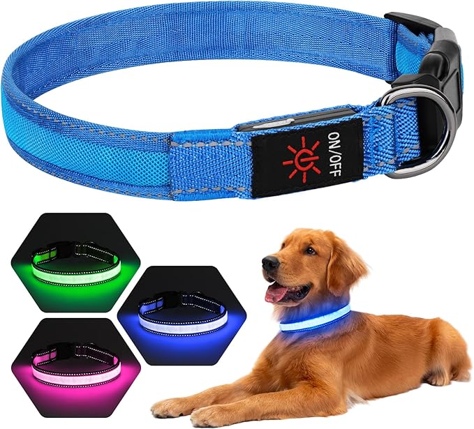 Dolitego LED Dog Collar USB Rechargeable - Light Up Dog Collar Safety Pet Collars with Lights for Night Walking (Blue, L)