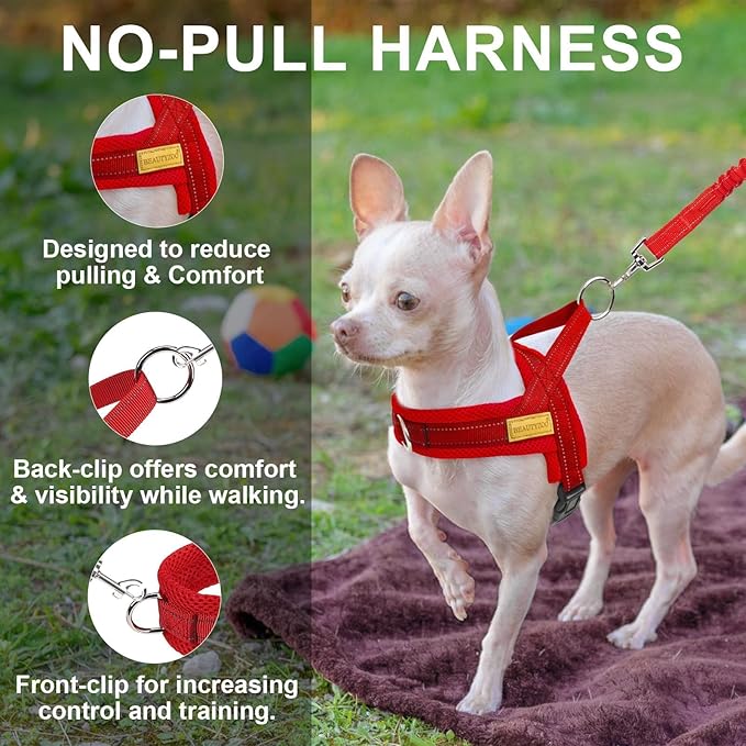 BEAUTYZOO Dog Harness for Small Dogs, No Pull Dog Harness and Leash Set, Soft Escape Proof Puppy Vest Harness with Handle, Reflective Lightweight Step in Harness for Girl Boy Dogs, Red XS