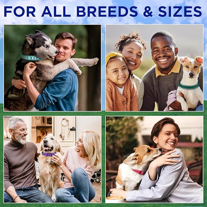 TECEUM Reflective Dog Collar – Teal – XS – Extra Soft Padding – Basic Nylon Pet Collar – Quick Release Buckle – Fits Small, Medium and Large Dogs, Puppies, Cats – ESA & Service Dog Options
